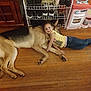 child, dog, german_shepherd, floor, wooden_floor, hugging, indoor, toy_kitchen, shoes, shelf, yellow_shirt, blue_jeans, red_shoes, smiling, pet, home, furniture, happy, friendship, comfort