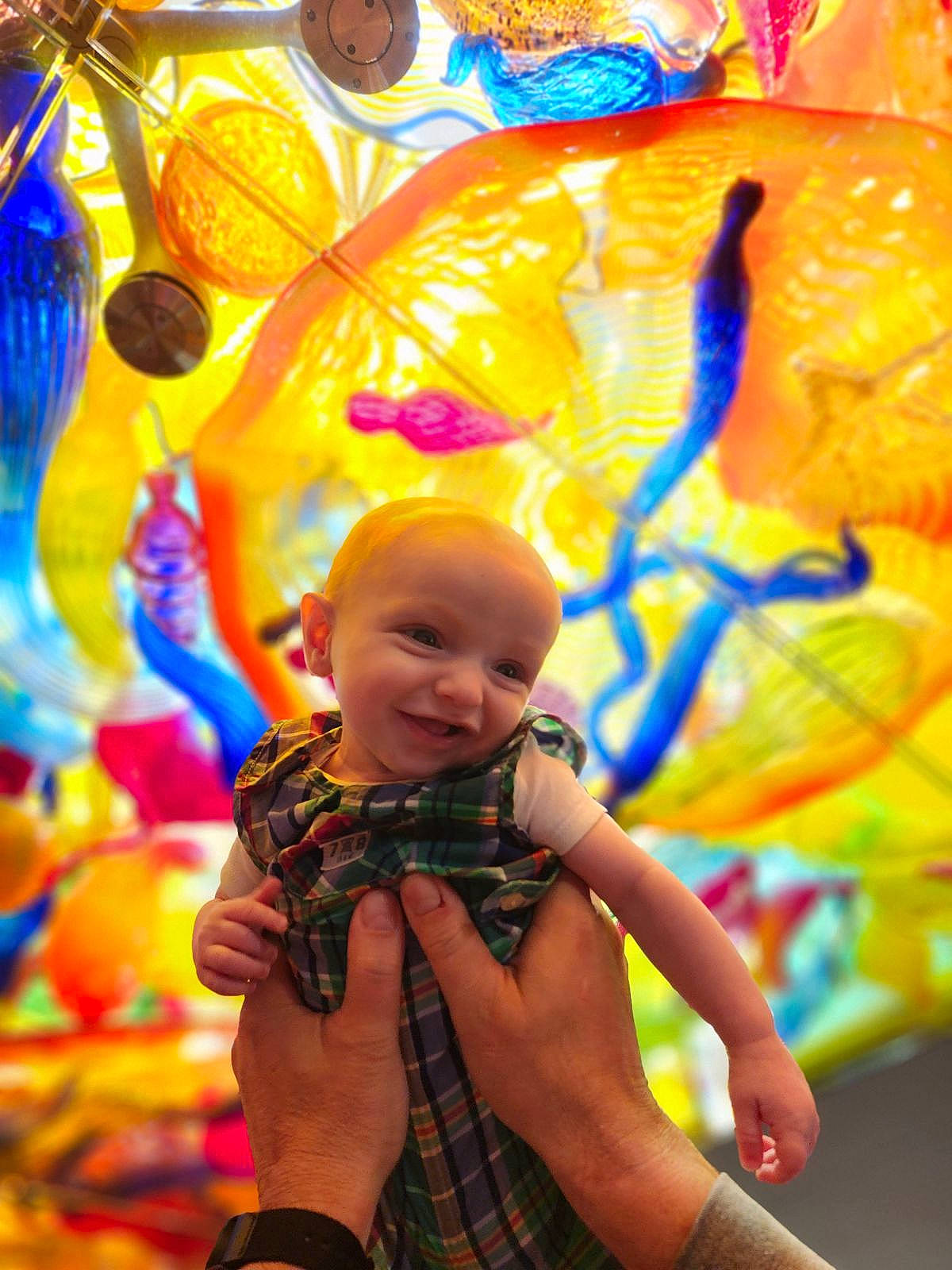 Finnley joined the competition — help win amazing prizes! art, beauty, child, event, fun, green, happy, joy, leisure, organism, pattern, people, person, photograph, plaid, recreation, smile, snapshot, summer, tartan