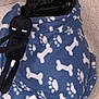Willie joined the competition — help win amazing prizes! baby_products, baby_toddler_clothing, bag, baggage, blue, carnivore, comfort, electric_blue, fashion_accessory, felidae, fur, grey, linens, luggage_and_bags, pattern, personal_protective_equipment, shoulder_bag, sleeve, small_to_medium_sized_cats, sportswear