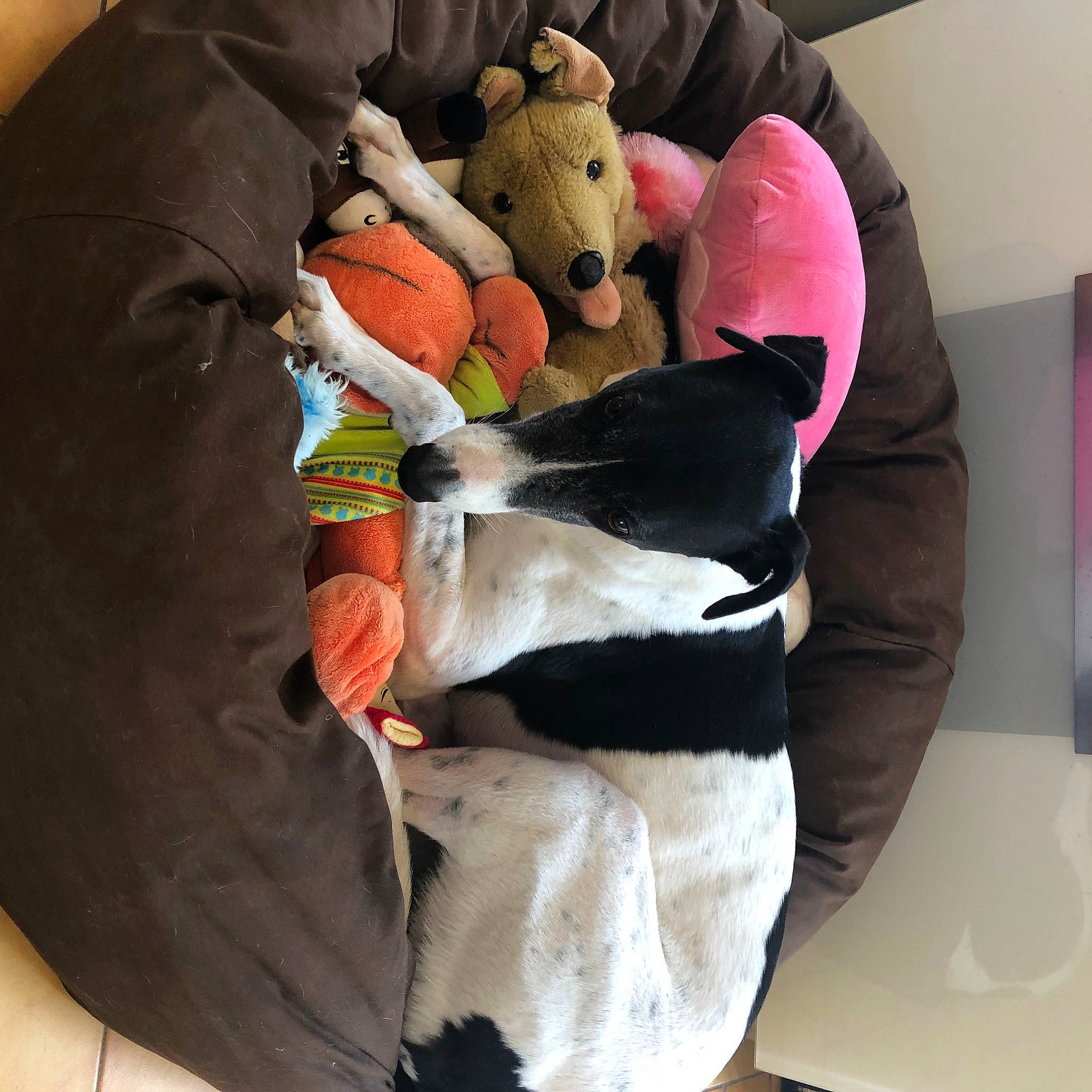 Inaï participe au concours pour gagner de l'argent avec cette photo : baby_products, bag, bed, carmine, comfort, fur, linens, magenta, personal_protective_equipment, pillow, plush, room, sleeve, stuffed_toy, teddy_bear, toy