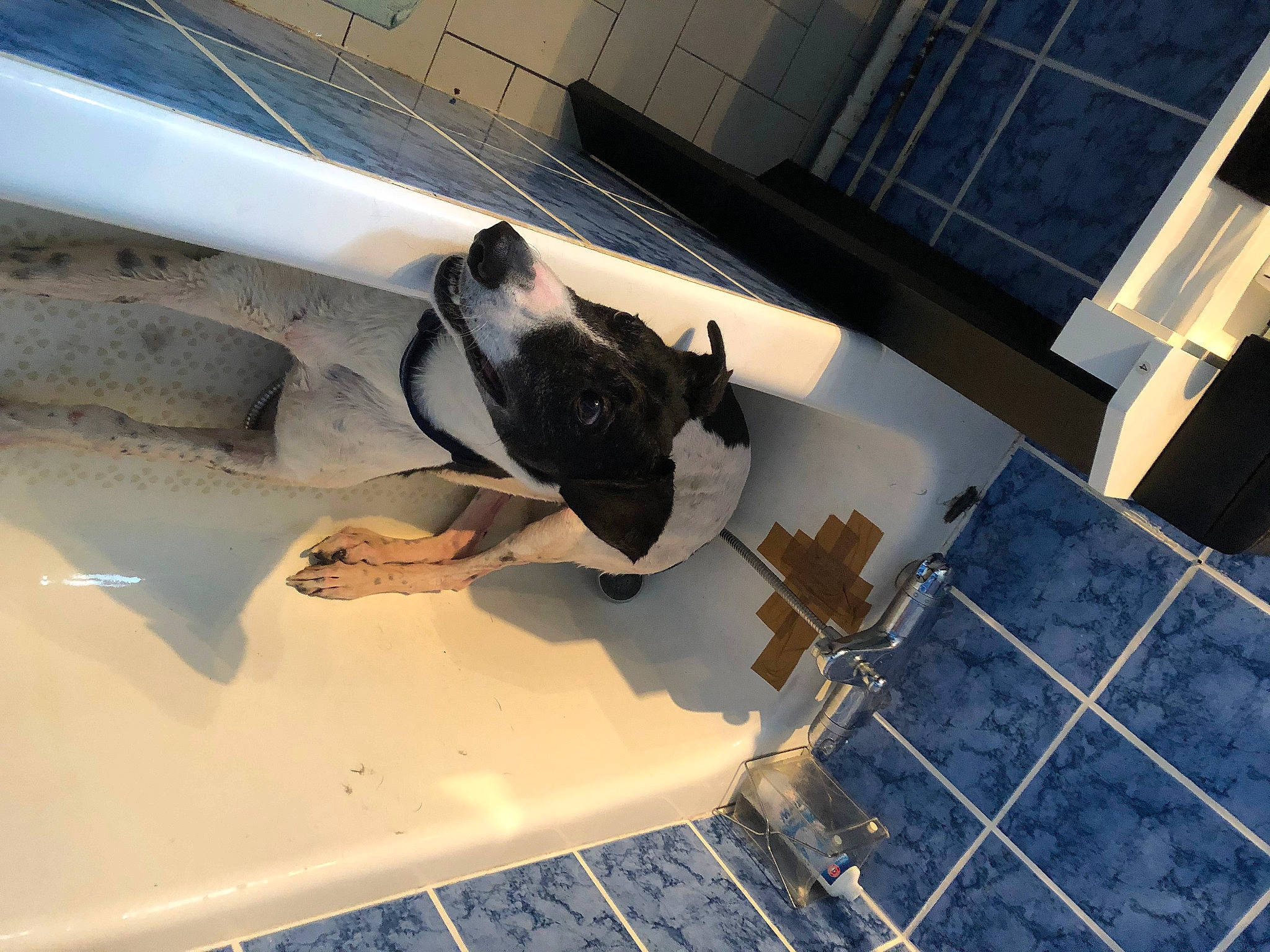 Inaï participe au concours pour gagner de l'argent avec cette photo : automotive_design, automotive_exterior, bumper, ceiling, composite_material, eyewear, floor, flooring, glass, hardwood, hood, metal, room, shadow, space, stairs, tile, vehicle_door, windshield, wood