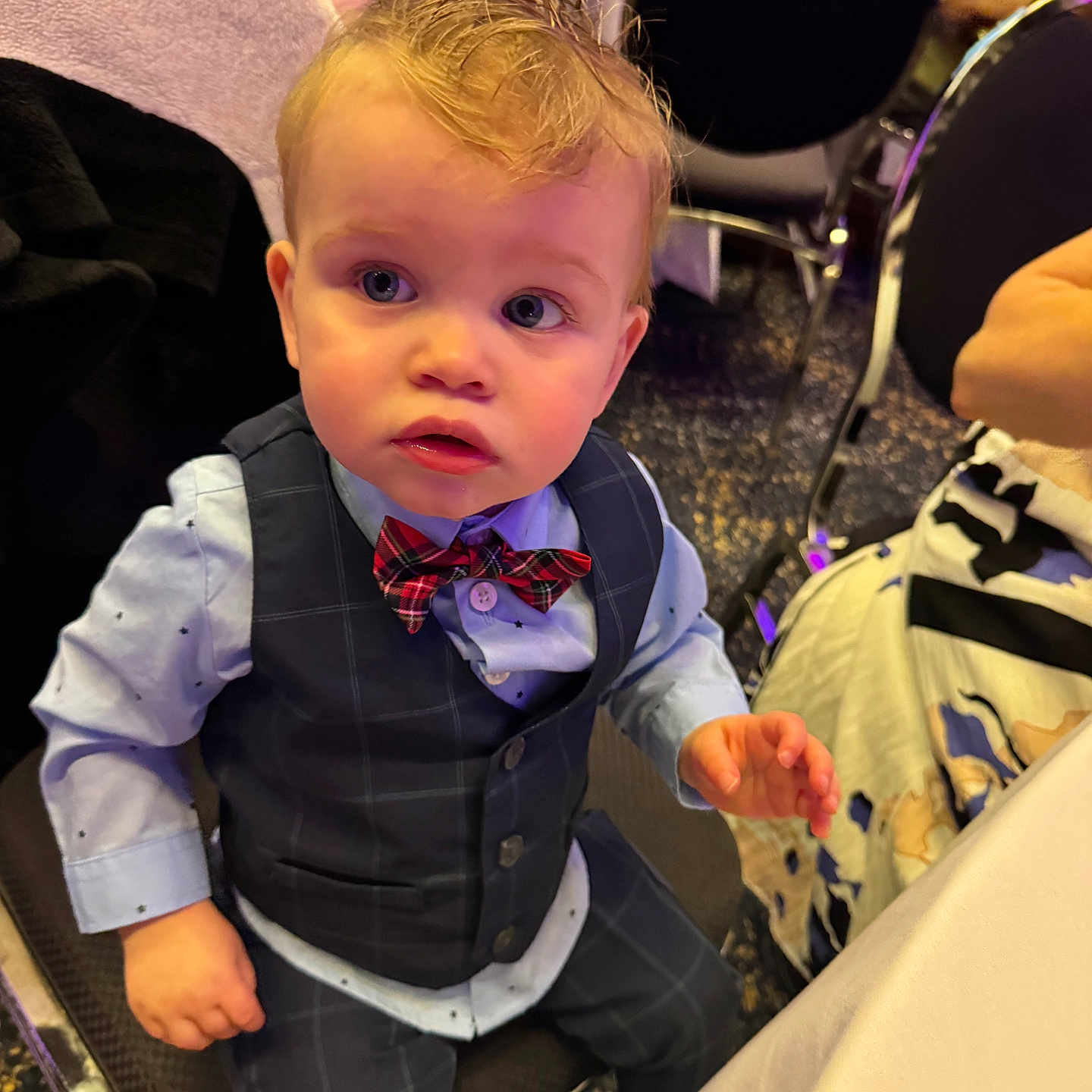 Leo is registered to the contest to win money with this photo: toddler, child, boy, vest, bow_tie, shirt, pants, chair, indoor, event, curious, blue_eyes, hairstyle, formal_wear, table, tablecloth, people, seated, fashion, cute