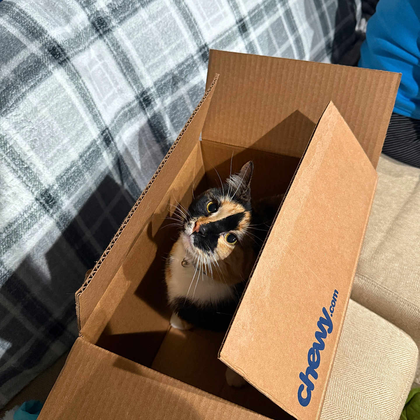 Reese