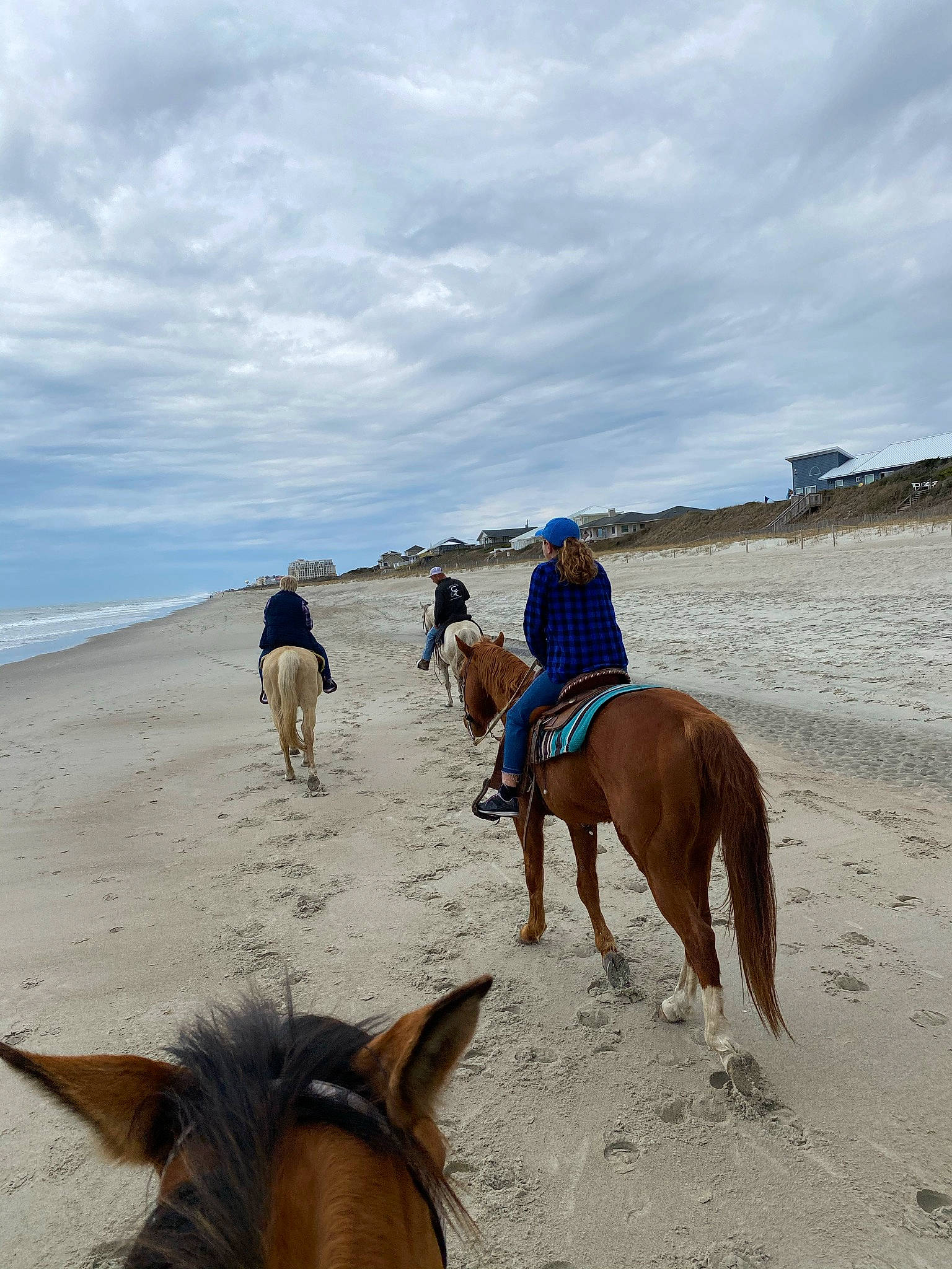 Penny joined the competition — help win amazing prizes! beach, bridle, cloud, equestrian_sport, equestrianism, horse, horse_supplies, horse_tack, landscape, mane, mare, pack_animal, rein, saddle, sand, sky, sorrel, travel, water, working_animal