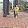 child, boy, outdoor, portrait, drinking, cup, beverage, yellow_shirt, printed_shirt, shorts, sandals, pavilion, wooden_structure, brick_pavement, garden, shrubs, parking_lot, neighborhood, standing, daylight