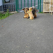 Lola a rejoint le concours — aidez-le/la à gagner de superbes lots !