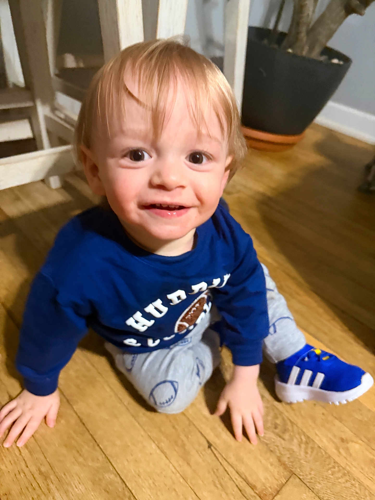 Mason is registered to the contest to win money with this photo: child, toddler, smiling, indoor, wooden_floor, blue_shirt, sneaker, left_hand, right_hand, brown_eyes, blonde_hair, plant_pot, pants, sitting, portrait, close_up, candid, floor, white_chair, happy
