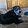 Corky