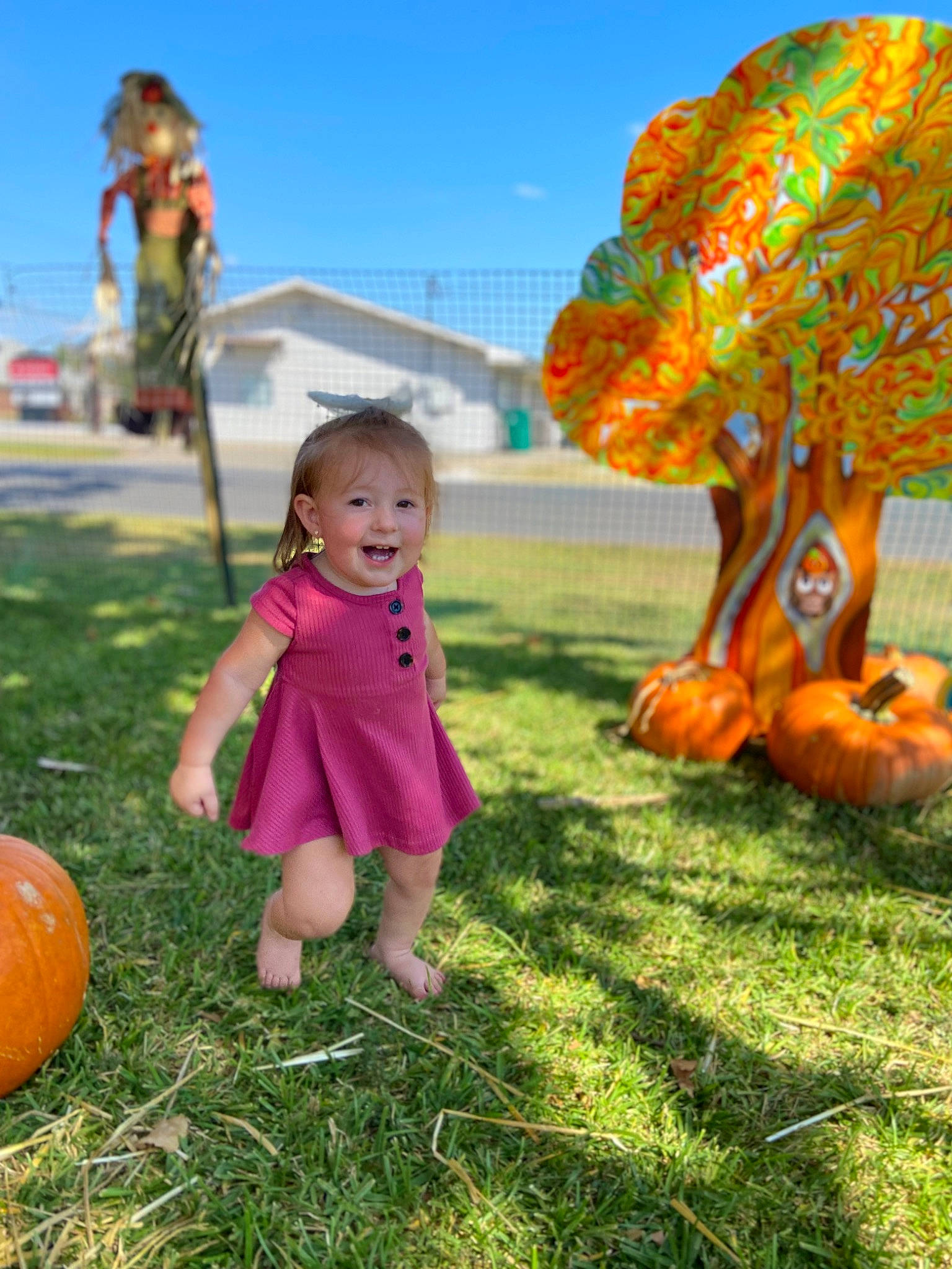 Joycelynn is registered to the contest to win money with this photo: blurred, calabaza, child, cucurbita, fun, gourd, grass, happy, human_body, joy, lawn, leaf, leisure, orange, people_in_nature, person, plant, pumpkin, sky, toddler