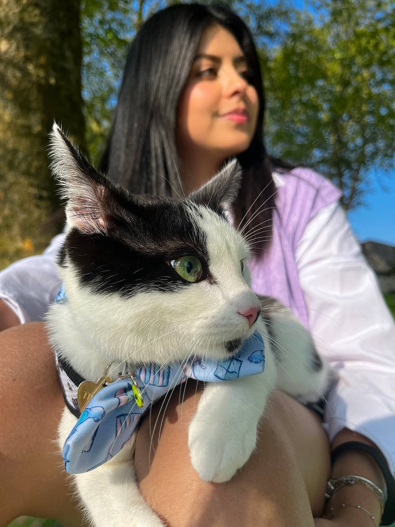 Truffa participe au concours pour gagner de l'argent avec cette photo : abdomen, bag, carnivore, cat, companion_dog, eyewear, fashion_accessory, fawn, felidae, formal_wear, fur, grass, happy, jewellery, leisure, plant, sitting, small_to_medium_sized_cats, tree, whiskers
