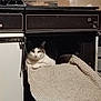 animal, appliance, black, cat, clutter, curious, ears, fabric, face, feline, household, indoor, mat, oven, pet, resting, rustic, texture, white, workshop