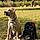 Xena