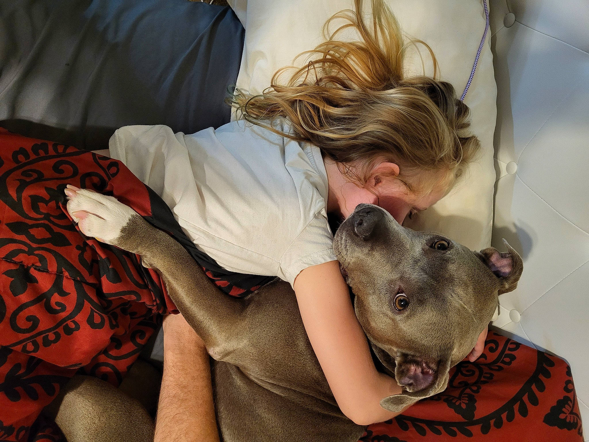 Freya is registered to the contest to win money with this photo: child, comfort, elbow, eyewear, flesh, fun, fur, happy, hat, human_leg, knee, linens, mouth, neck, pattern, room, sun_hat, sunglasses, tattoo, thigh