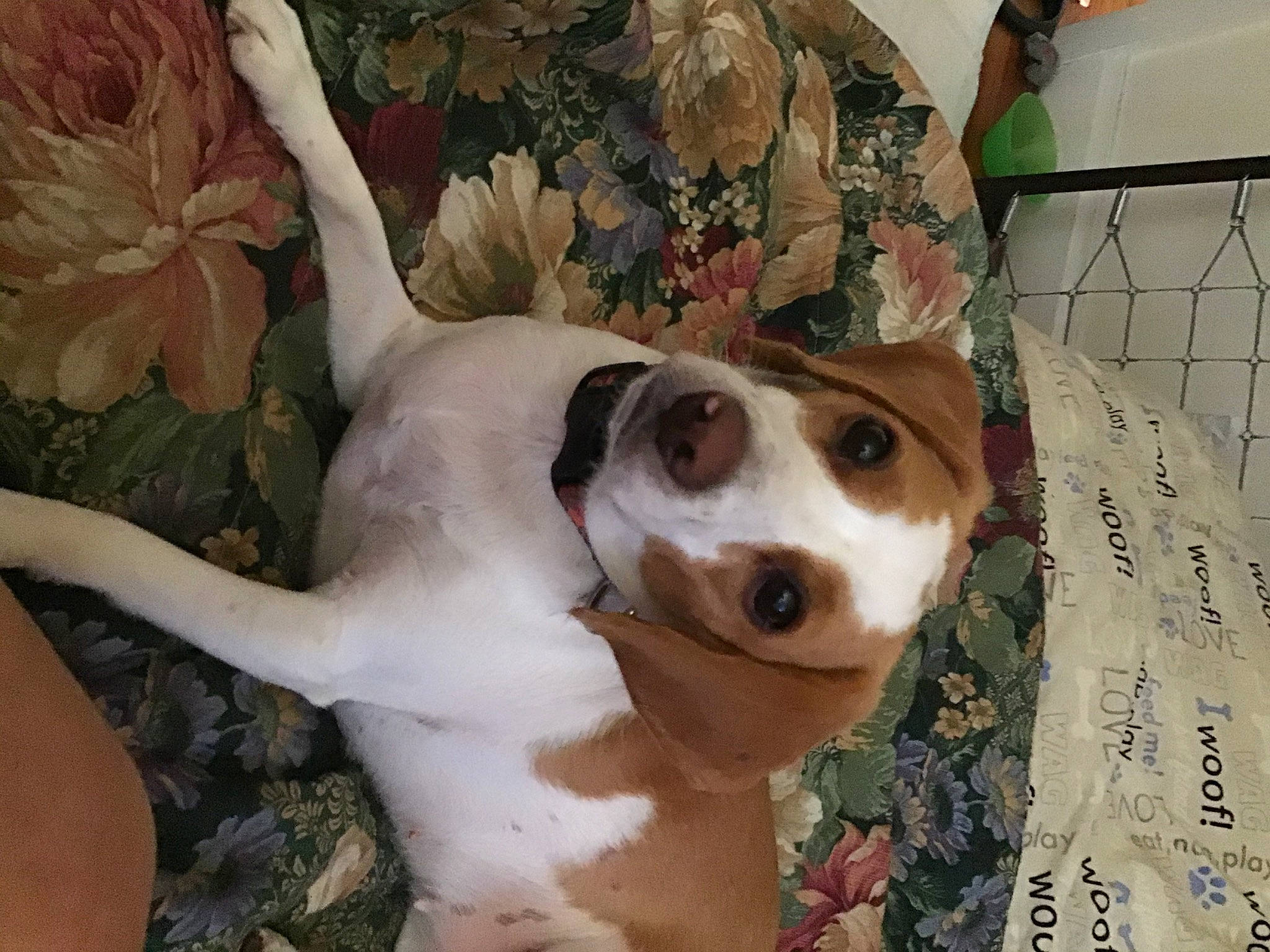 Rosie