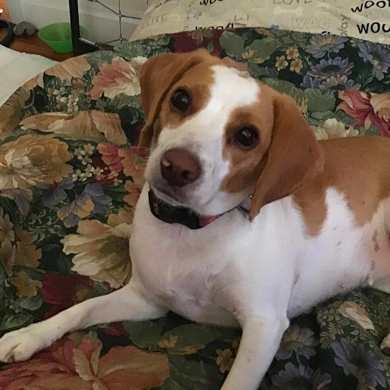 Rosie
