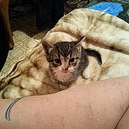 Tippy is registered to the contest to win money with this photo: