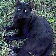 Midnite is registered to the contest to win money with this photo:
