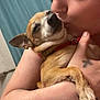 person, dog, pet, kiss, close_up, indoor, red_collar, tattoo, nose_ring, affection, cute, brown_dog, small_dog, holding, face_closeup, human_arm, curtain, skin, love, animal