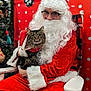 santa_claus, cat, tabby_cat, christmas, holiday, festive, red_costume, white_beard, glasses, chair, stocking, christmas_tree, decorations, indoor, smiling, pet, animal, celebration, seasonal, portrait