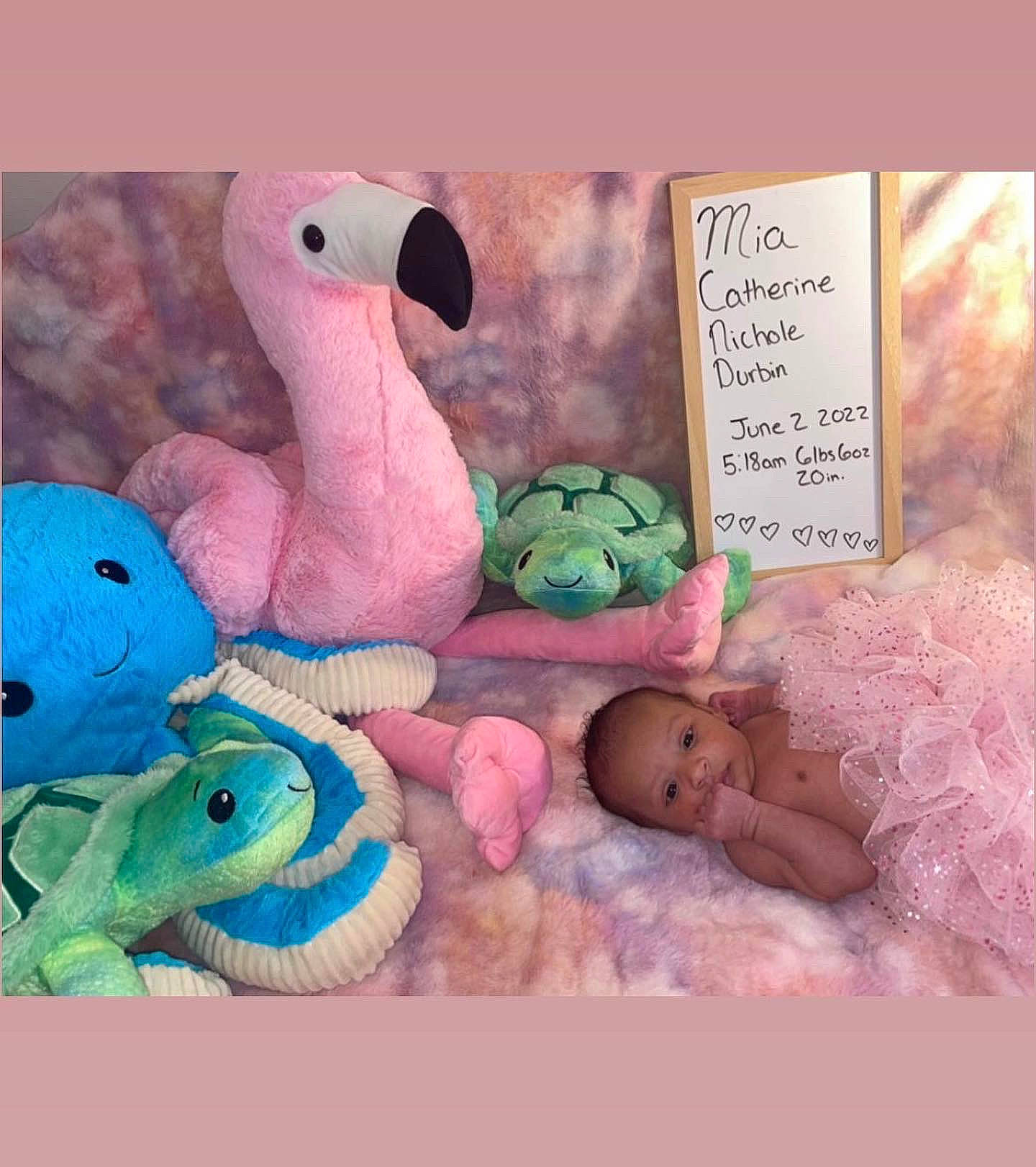 Mia is registered to the contest to win money with this photo: animal_figure, art, baby_products, baby_toys, cartoon, child, dinosaur, font, happy, linens, mammal, organism, person, pink, plush, room, serpent, stuffed_toy, terrestrial_animal, textile