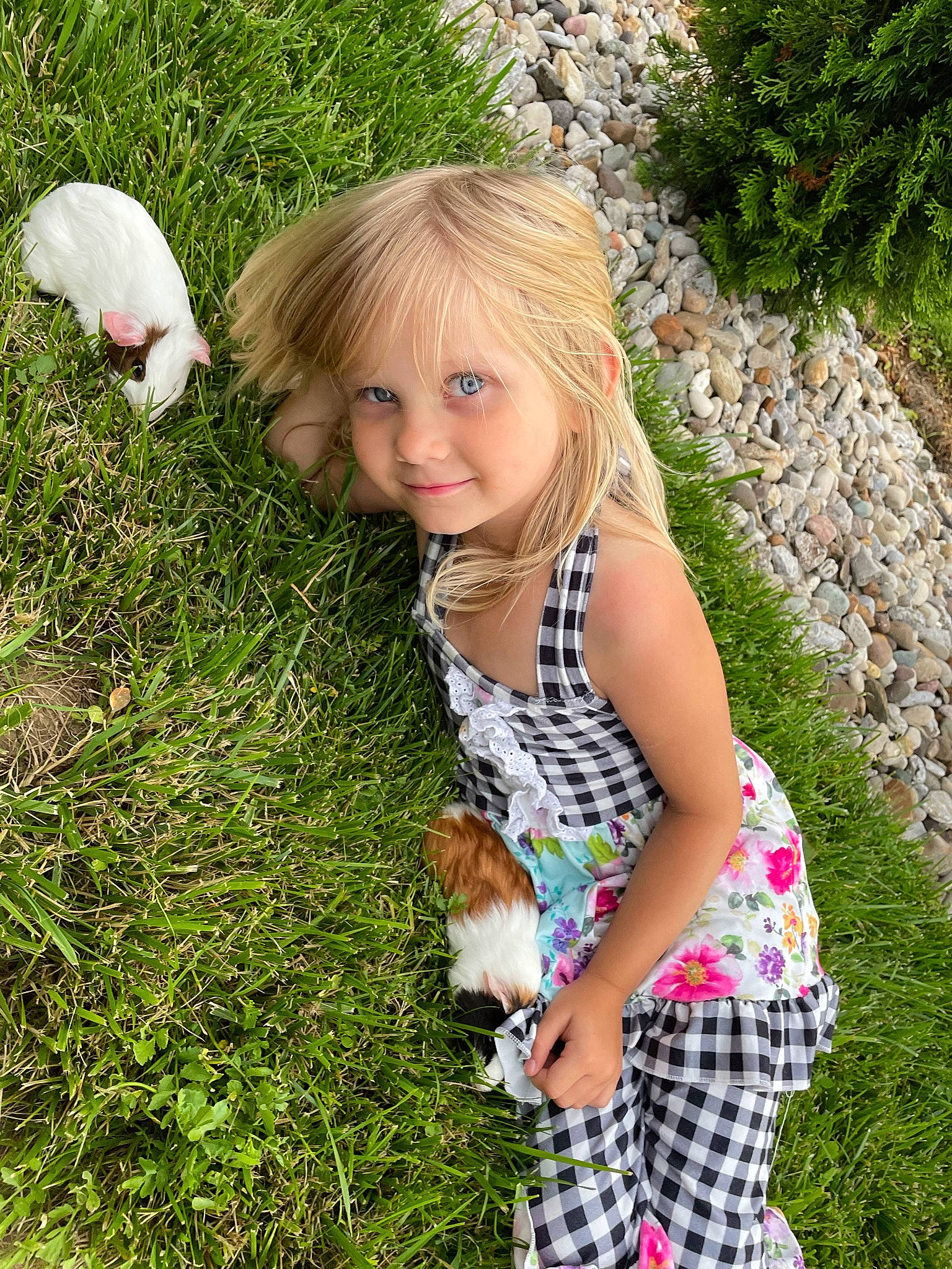 Karissa joined the competition — help win amazing prizes! baby_toddler_clothing, beauty, botany, dress, fawn, grass, grass_family, grassland, groundcover, hand, happy, joy, mammal, meadow, people_in_nature, person, plant, skin, summer, toddler