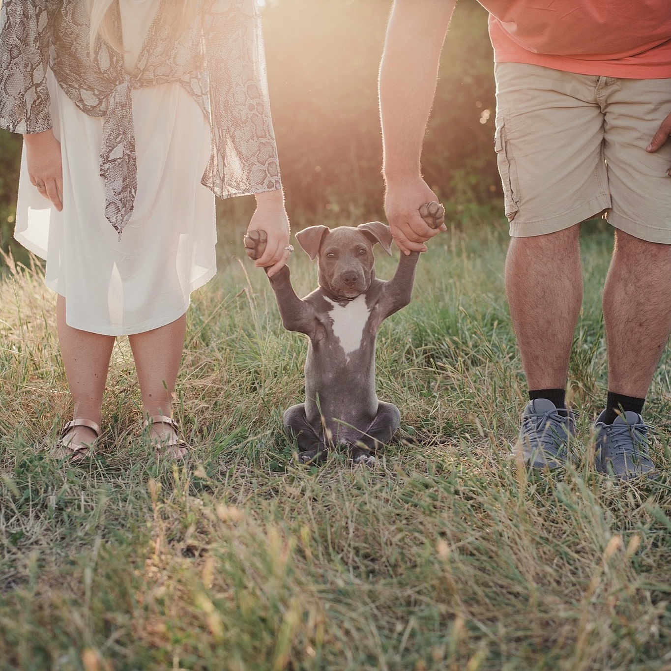 Milo joined the competition — help win amazing prizes! calf, child, dress, fawn, footwear, gesture, grass, grass_family, grassland, human_leg, leg, meadow, pasture, people_in_nature, photograph, photography, shoe, sporting_group, summer, sunlight