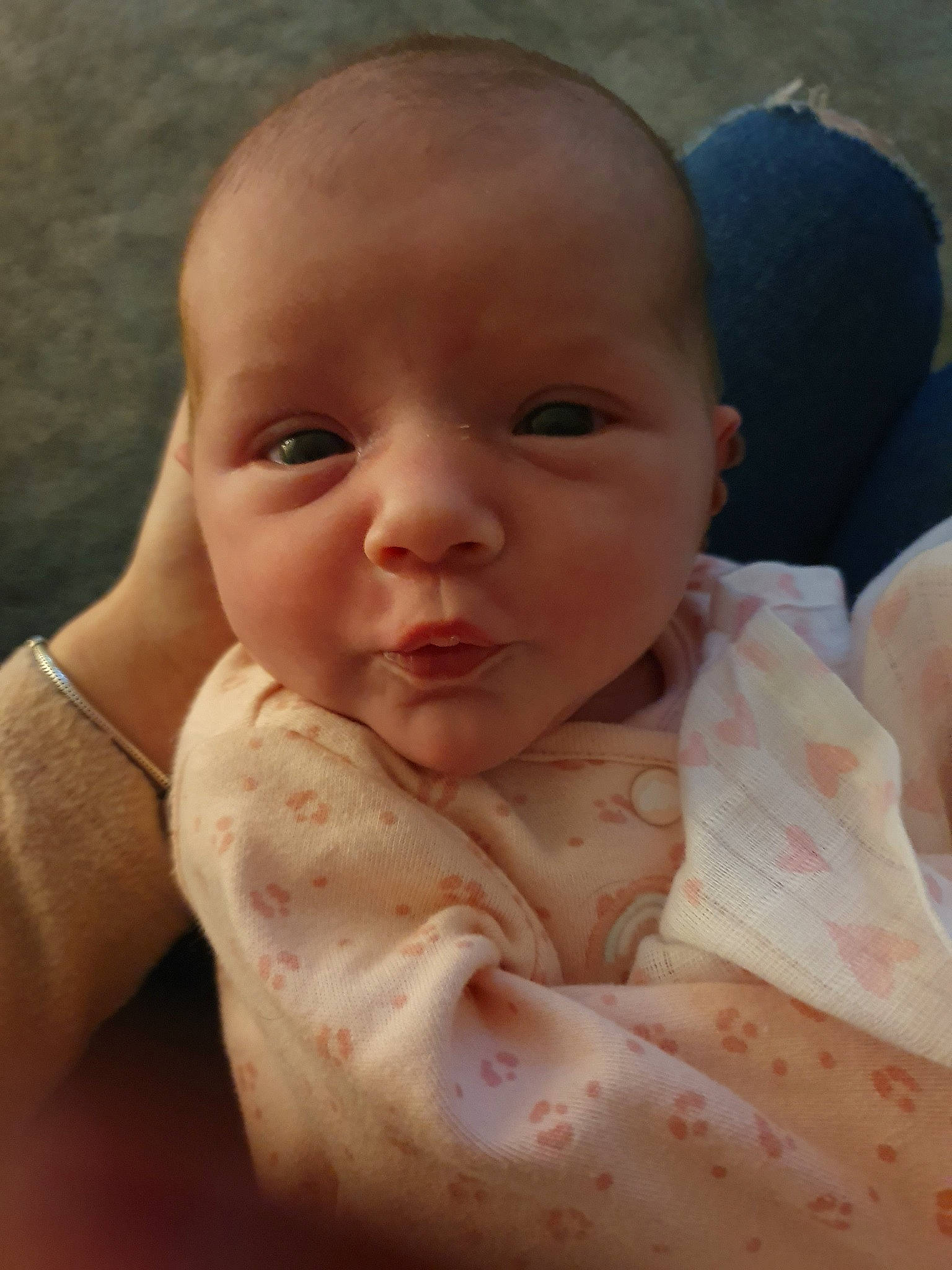 Halle is registered to the contest to win money with this photo: baby, cheek, child, chin, close_up, ear, eye, face, forehead, head, lip, mouth, nose, person, skin, smile, toddler