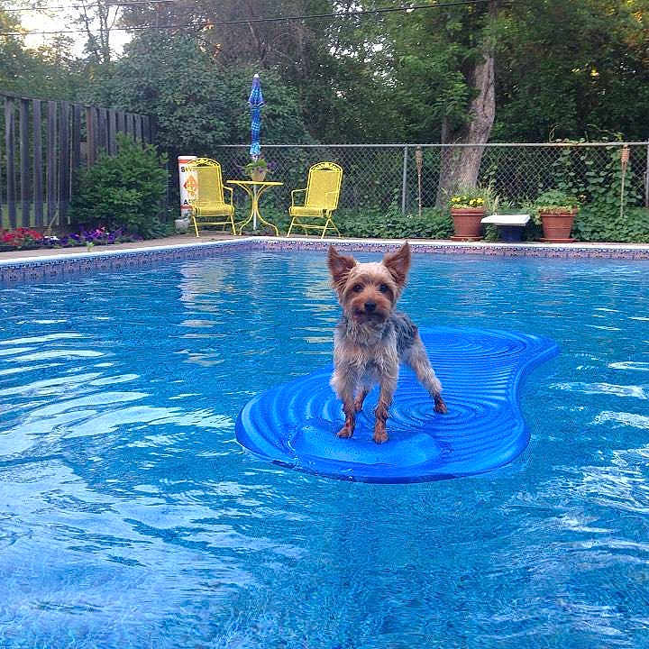 Gunner is registered to the contest to win money with this photo: