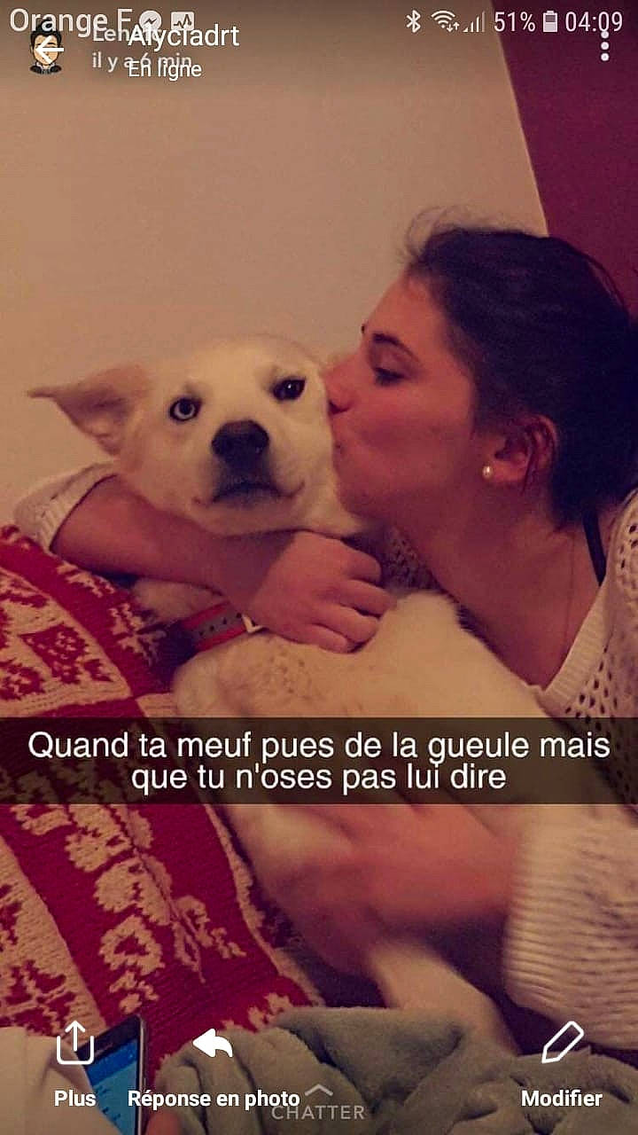 Coubye a rejoint le concours — aidez-le/la à gagner de superbes lots ! canidae, carnivore, companion_dog, dog, dog_breed, nose, person, photo_caption, photography, puppy, puppy_love