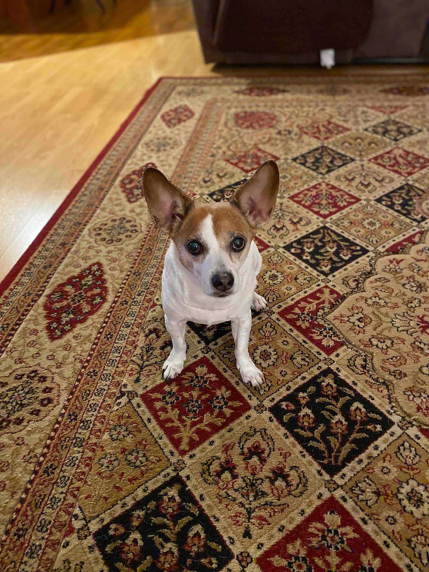 Rudy