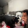 Xena joined the competition — help win amazing prizes! animal, black_and_white, blanket, brindle, bulldog, child, close_up, couch, dog, domestic_scene, furniture, indoors, living_room, person, pet, playful, portrait, relaxed, sitting, sofa