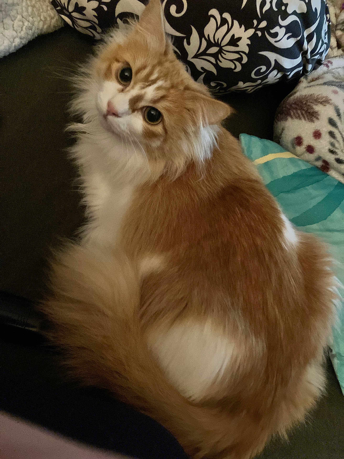 Honey