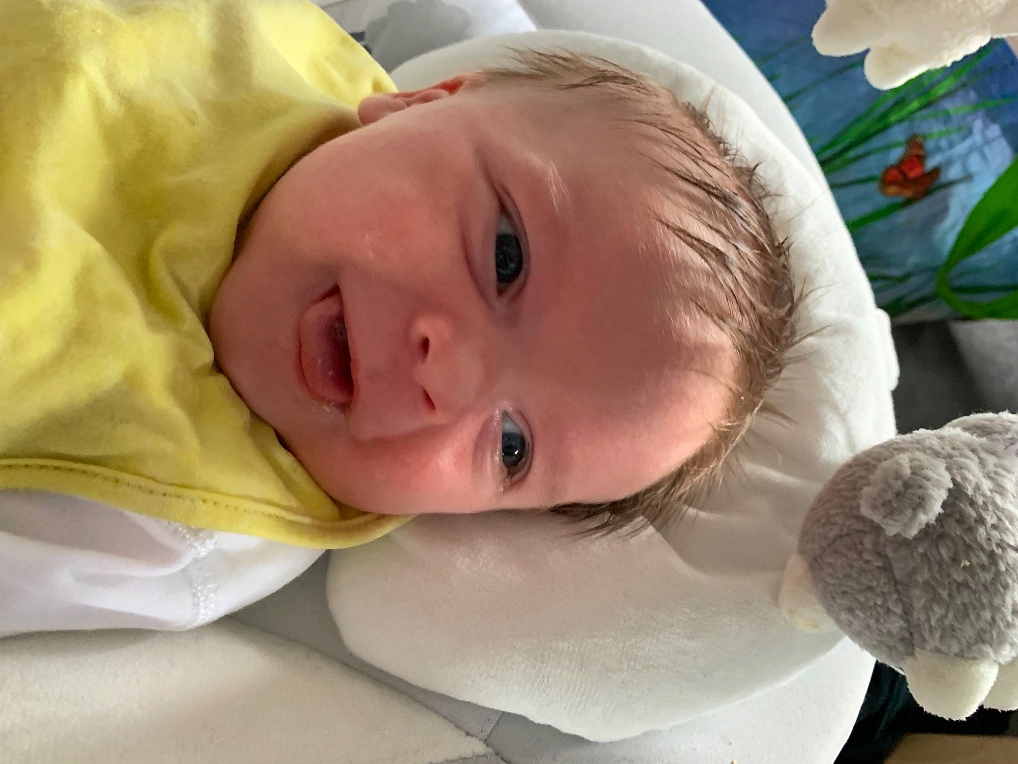 Odin joined the competition — help win amazing prizes! baby, baby_products, baby_toddler_clothing, cheek, child, comfort, event, eyebrow, eyelash, grass, happy, iris, linens, lip, nose, person, room, skin, smile, toddler