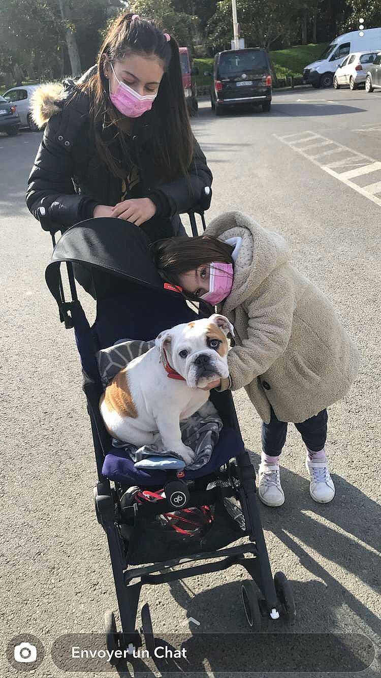 Rihanna a rejoint le concours — aidez-le/la à gagner de superbes lots ! asphalt, baby_carriage, car, carnivore, companion_dog, dog, dog_breed, dog_supply, eyewear, fawn, leash, photograph, shoe, sidewalk, snapshot, sneakers, sporting_group, street_fashion, vehicle, wheel