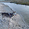 Shasta participe au concours pour gagner de l'argent avec cette photo :