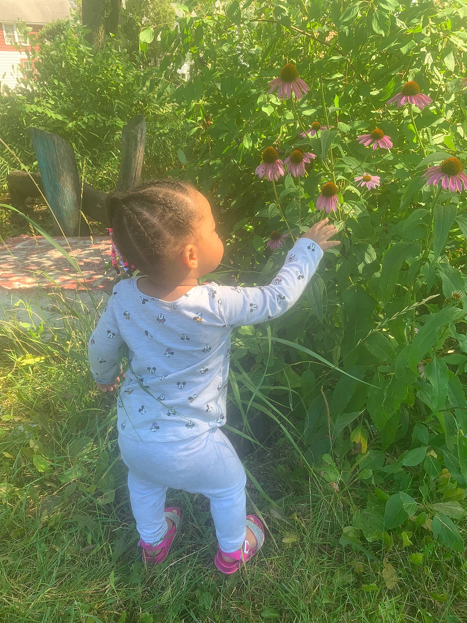 Dior joined the competition — help win amazing prizes! annual_plant, baby_toddler_clothing, child, flower, flowering_plant, fruit, garden, grass, grass_family, grassland, happy, lawn, people_in_nature, person, petal, plant, rose_family, shrub, terrestrial_plant, toddler