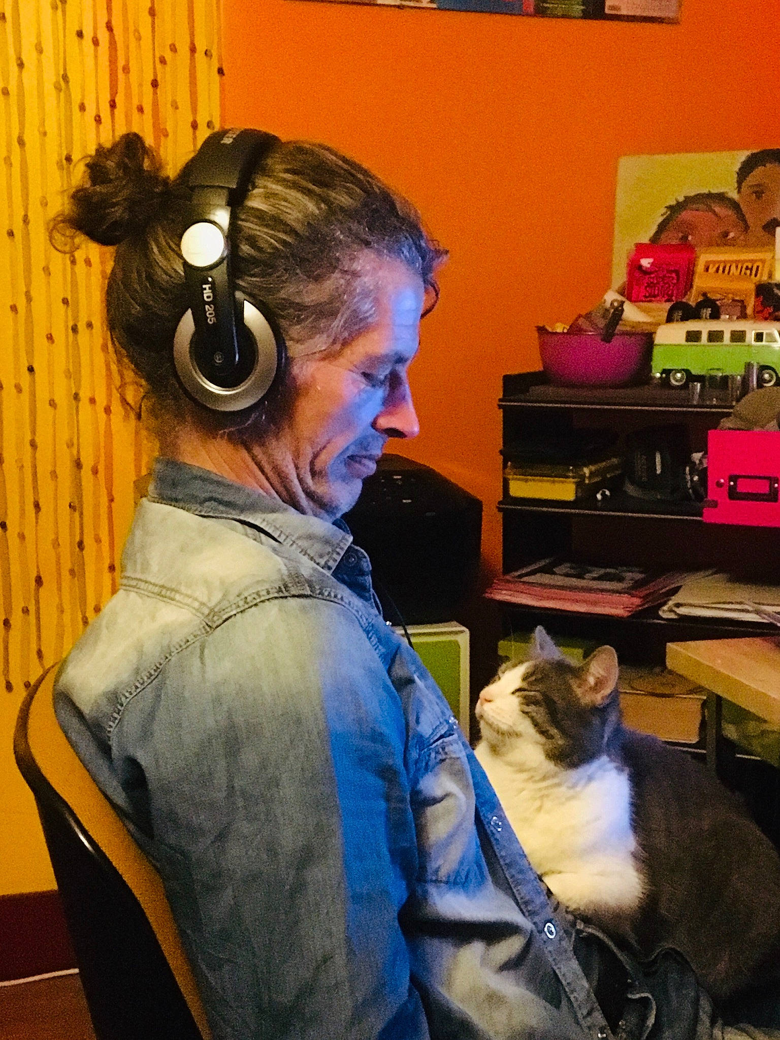 Choupette participe au concours pour gagner de l'argent avec cette photo : animation, audio_equipment, ear, electronic_device, hairstyle, headphones