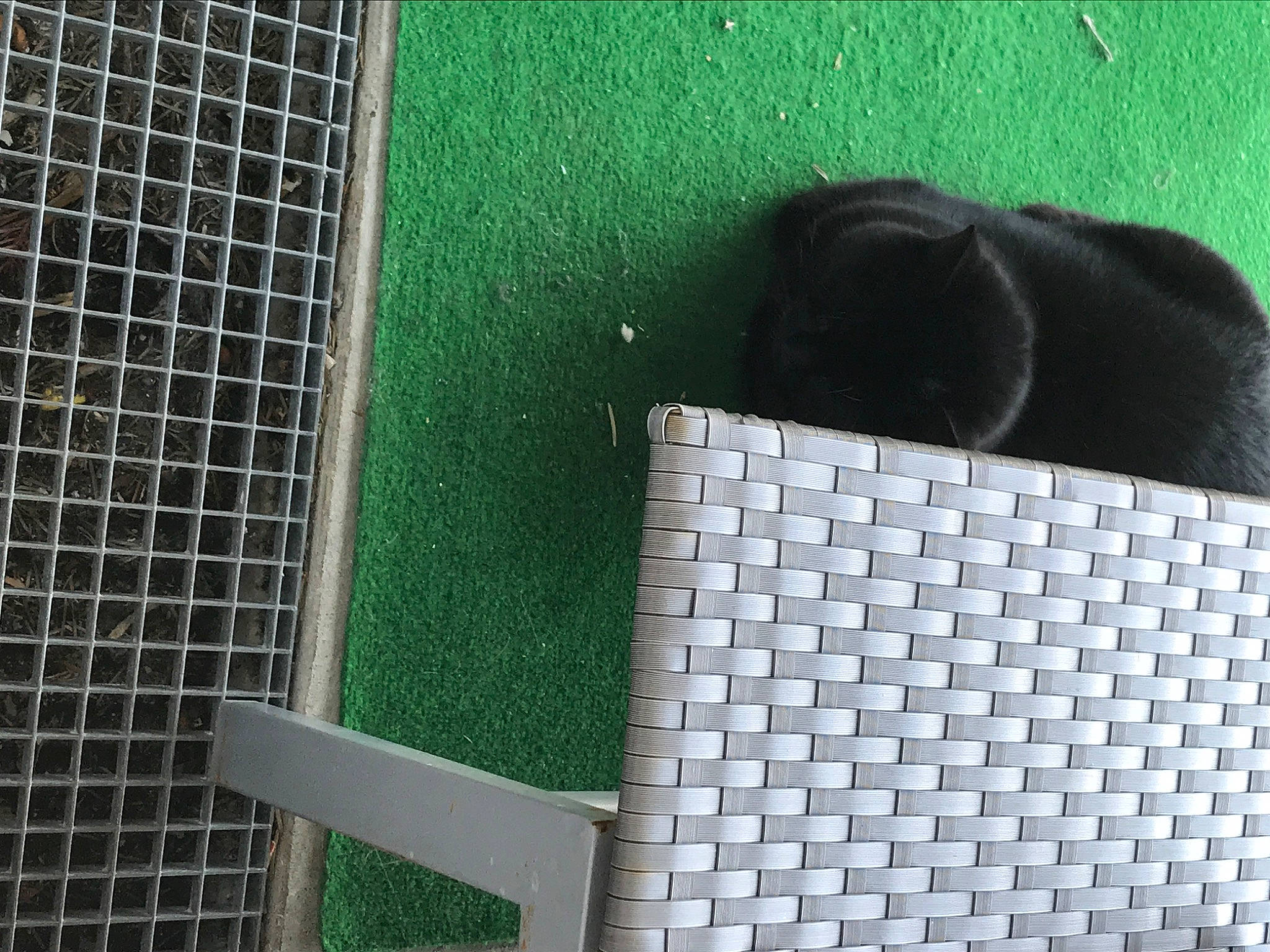 Nestor a rejoint le concours — aidez-le/la à gagner de superbes lots ! architecture, chain_link_fencing, composite_material, facade, flooring, font, grass, green, grille, line, mesh, metal, net, pattern, primate, rectangle, terrestrial_animal, wall, wire_fencing, wood