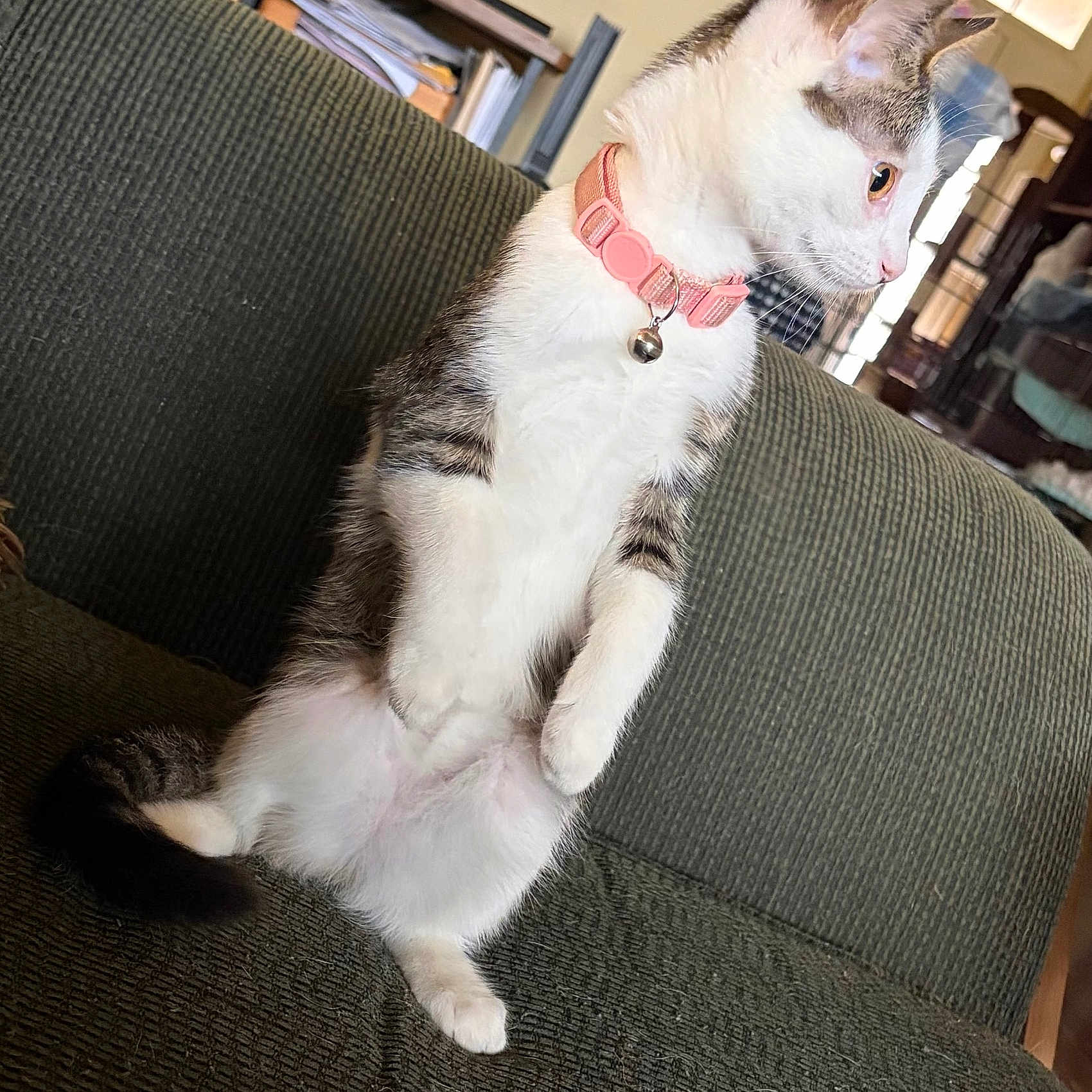 Jinx