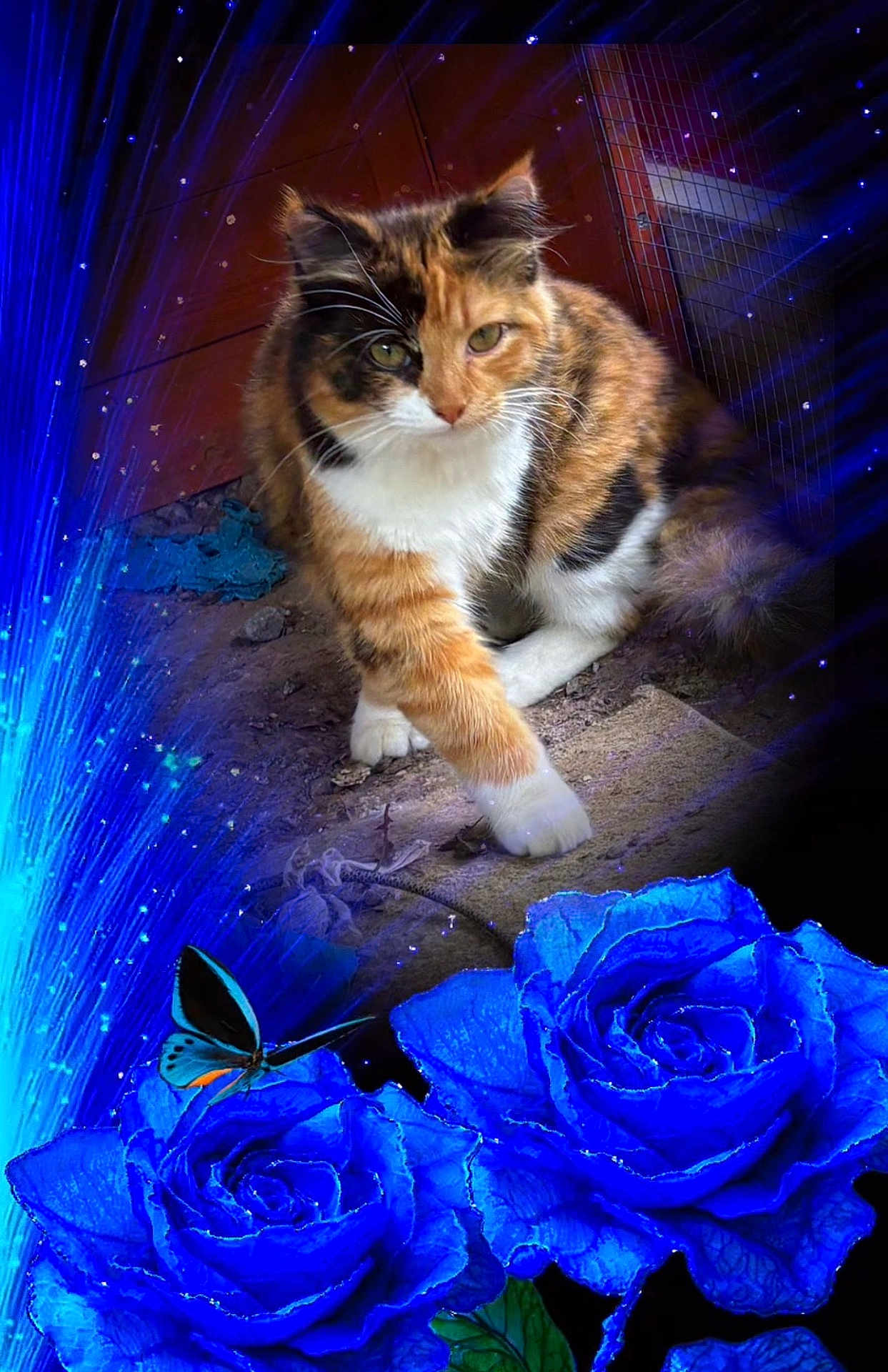 Princess