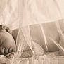 baby, newborn, sleeping, lace, canopy, blanket, soft, sepia, portrait, peaceful, infant, closeup, indoor, delicate, cozy, resting, head, face, fabric, texture