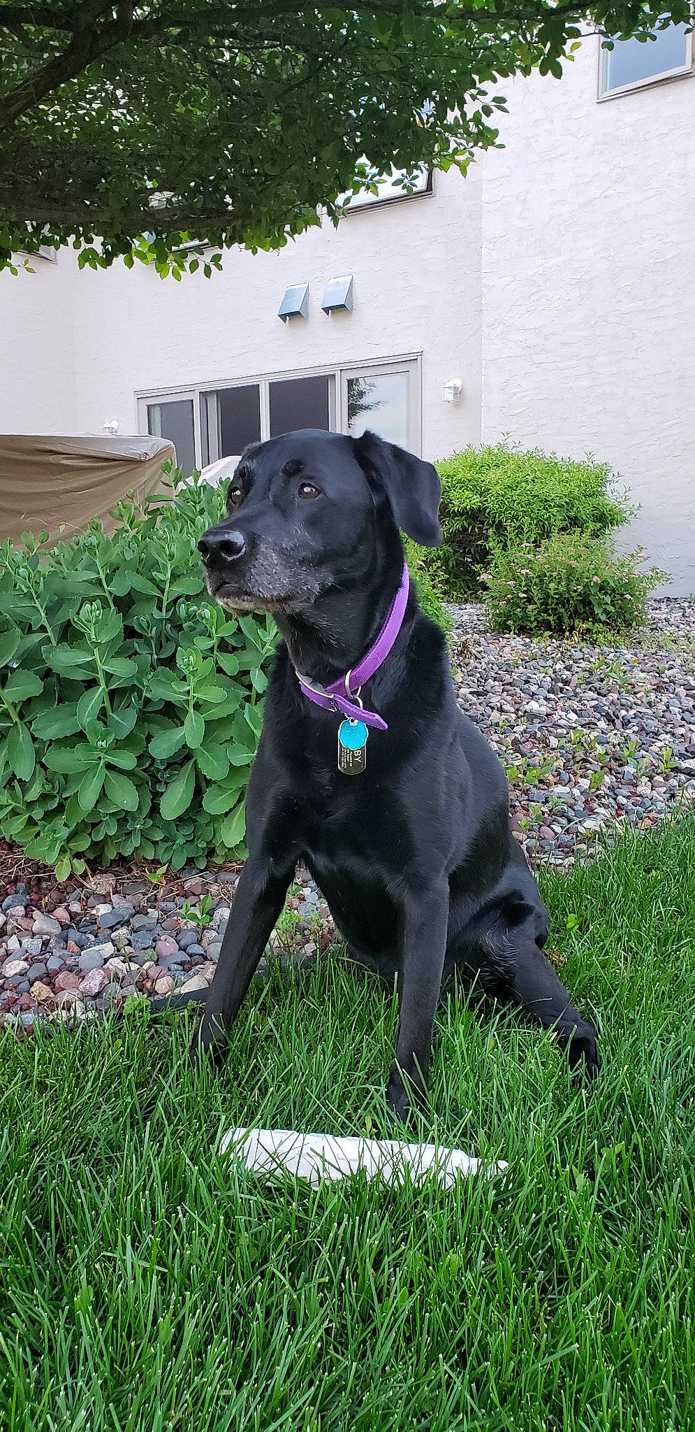 Abby