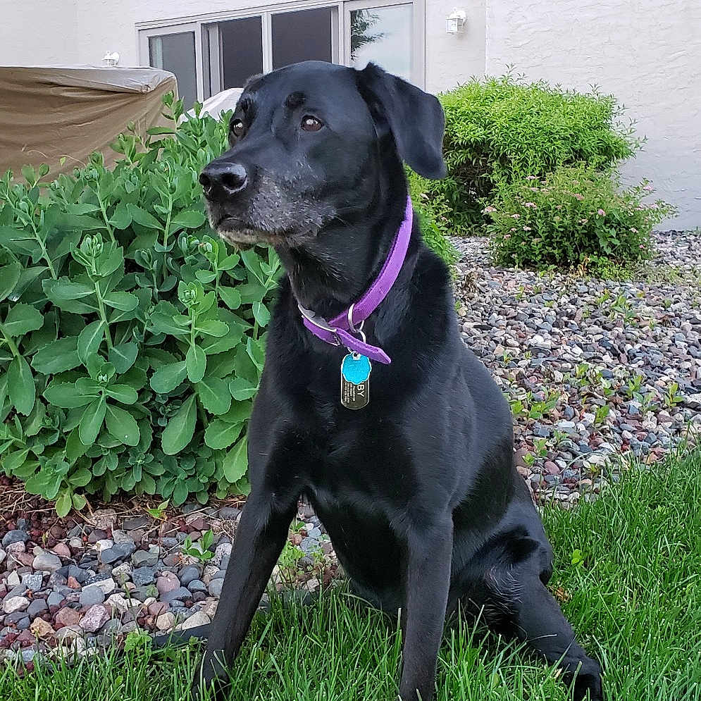 Abby