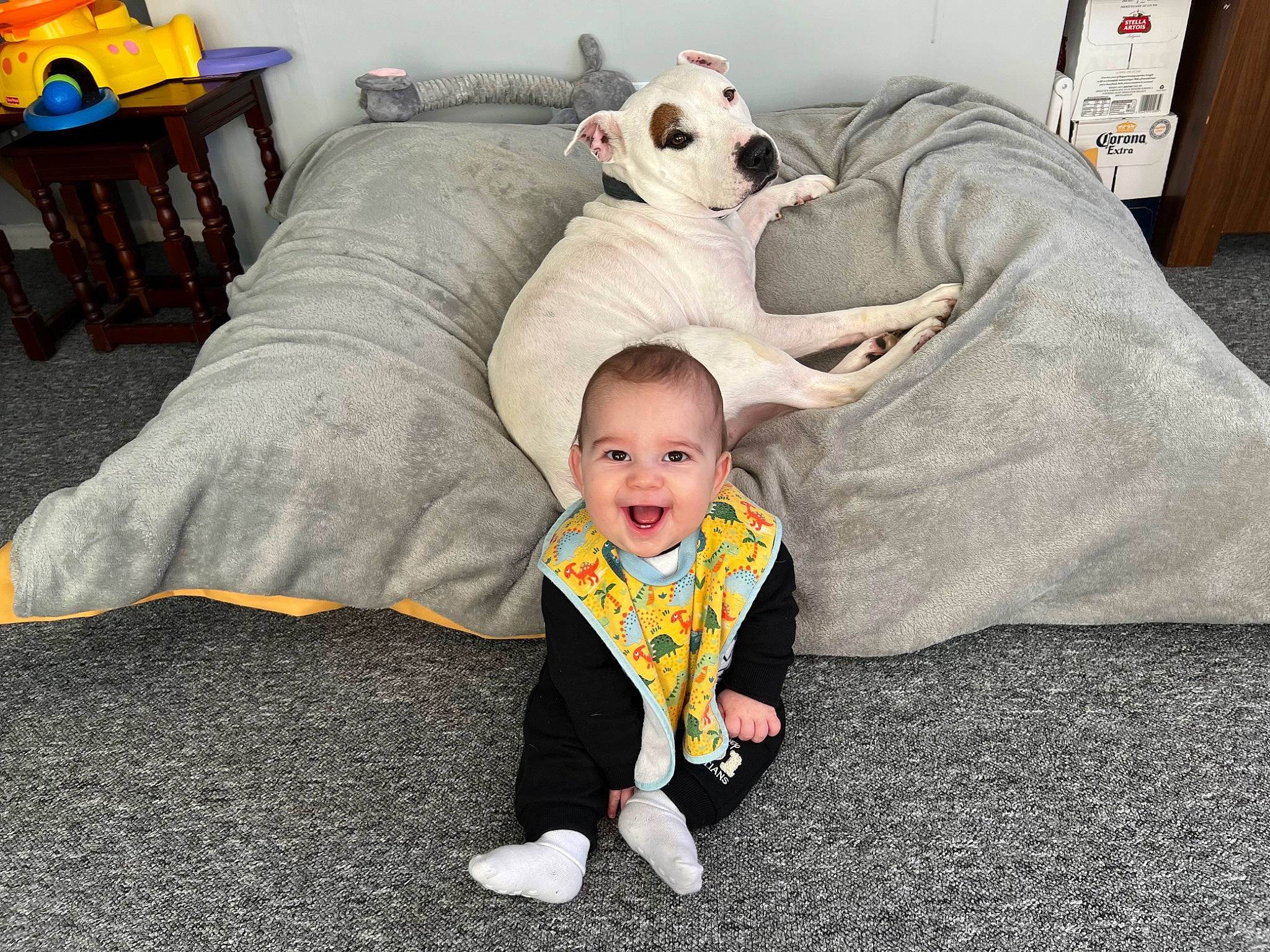 Issac joined the competition — help win amazing prizes! baby, baby_toddler_clothing, comfort, companion_dog, couch, floor, flooring, fun, grass, happy, head, joy, living_room, person, room, sitting, smile, table, textile, toddler