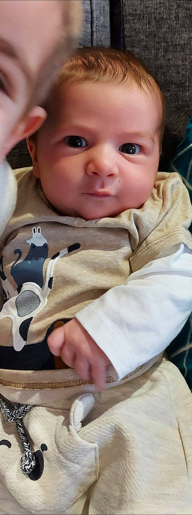 Lubin participe au concours pour gagner de l'argent avec cette photo : baby, baby_toddler_clothing, cheek, child, collar, dress_shirt, eyelash, face, finger, gesture, grass, hairstyle, mammal, nose, person, photograph, product, skin, sleeve, toddler