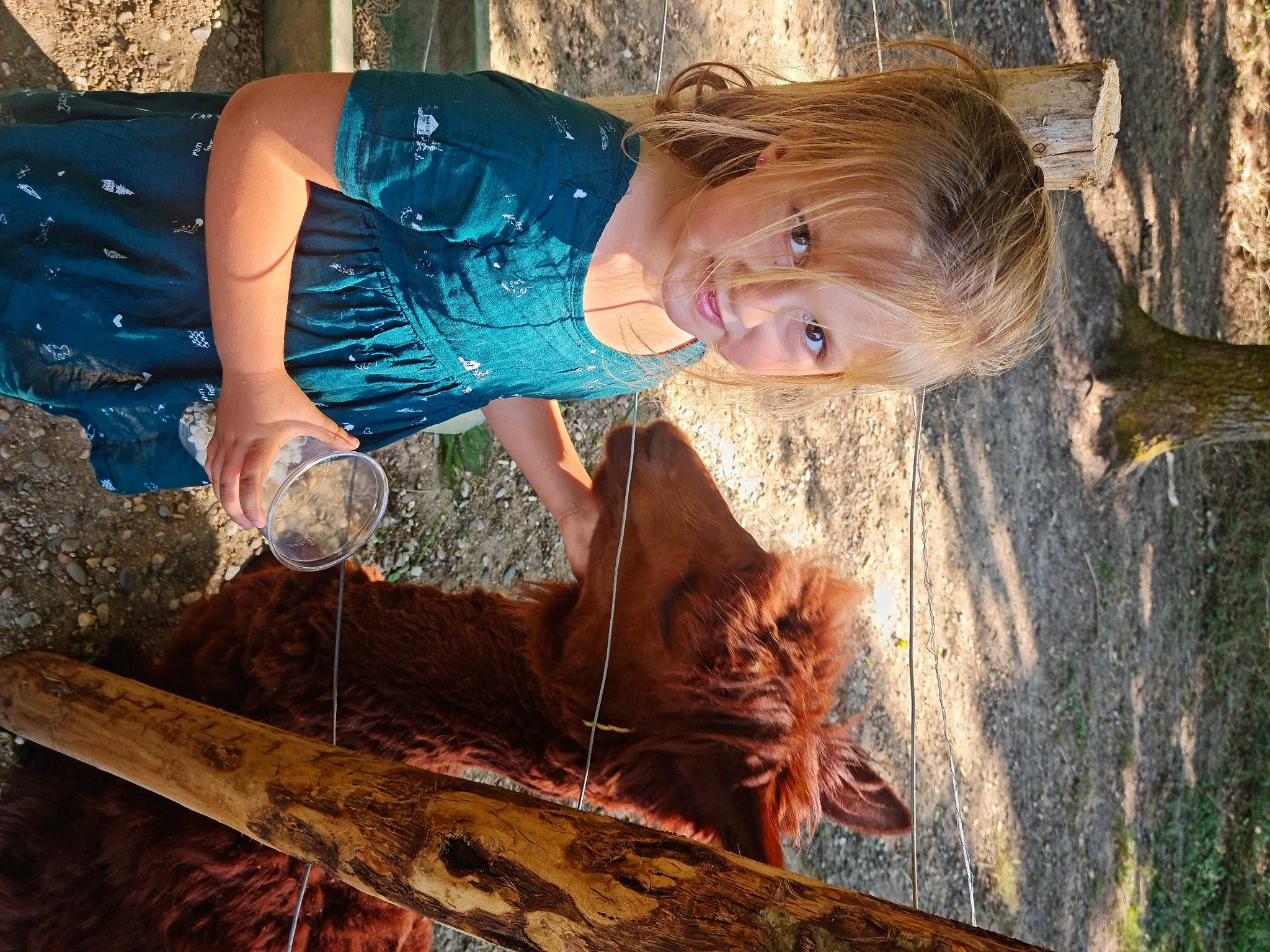 Shana participe au concours pour gagner de l'argent avec cette photo : adaptation, arm, beauty, electric_blue, face, fawn, fun, grass, hair, happy, leisure, organ, people_in_nature, person, smile, soil, sunlight, toddler, tree, trunk