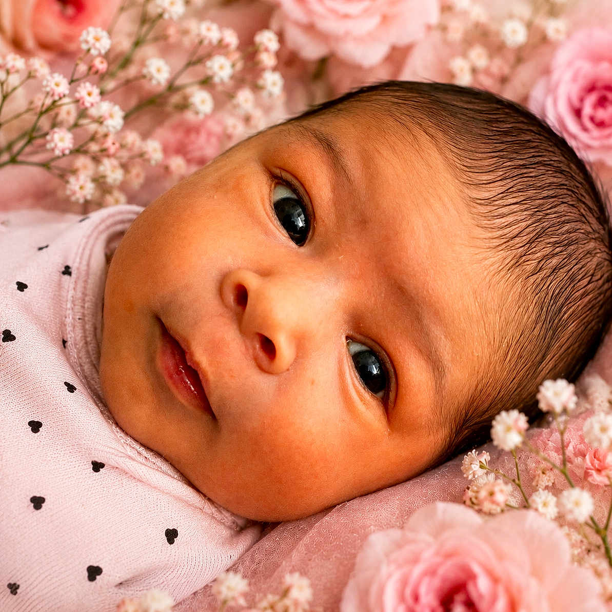 Mariah is registered to the contest to win money with this photo: baby, newborn, infant, face, close_up, pink_flowers, floral_background, soft_light, cute, portrait, skin, eyes, clothing, heart_pattern, head, lying_down, delicate, peaceful, baby_girl, fresh