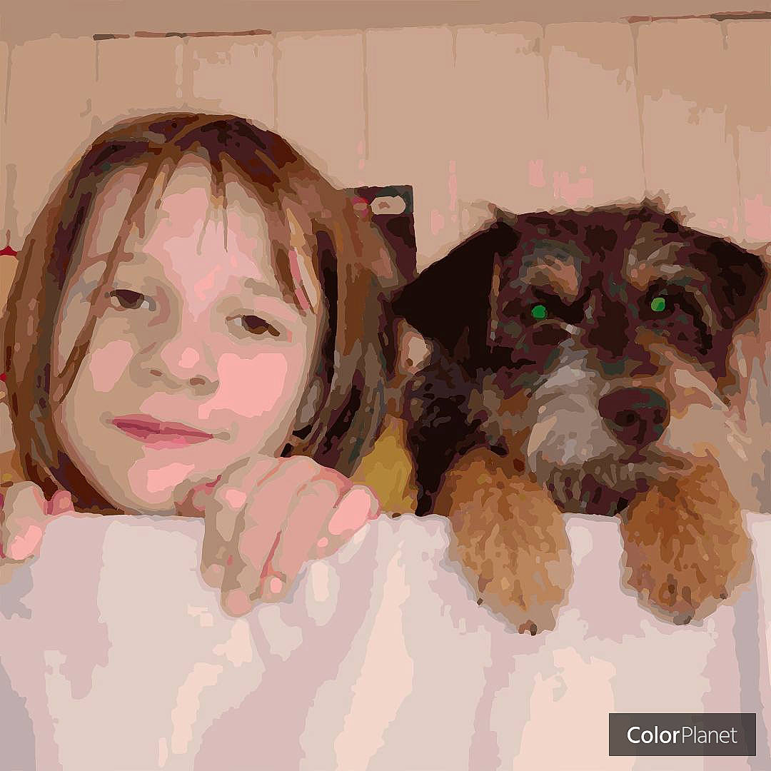 Roxy a rejoint le concours — aidez-le/la à gagner de superbes lots ! carnivore, comfort, companion_dog, dog, dog_breed, dog_supply, fur, happy, iris, liver, pet_supply, sharing, sleeve, small_terrier, smile, sporting_group, terrier, toddler, toy_dog, working_animal