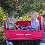 casual_clothing, child, family, fun, grass, green, nature, outdoor, person, play, radio_flyer, red, serious, sitting, smile, sunlight, toddler, toy, trees, wagon