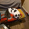 animal, ashtray, bench, black_and_white, blanket, carpet, cat, cigarette_butts, couch, cozy, furniture, gray_blanket, home, indoor, iron_man, pet, resting, rug, sleeping, table